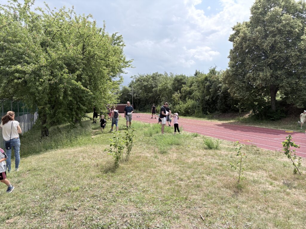 20260705_122346615_iOS