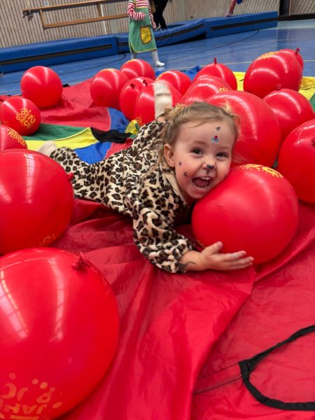 WhatsApp Image 2026-02-11 at 21.04.11