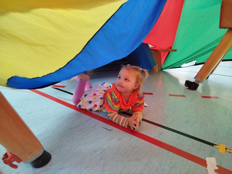 WhatsApp Image 2026-02-13 at 16.27.44